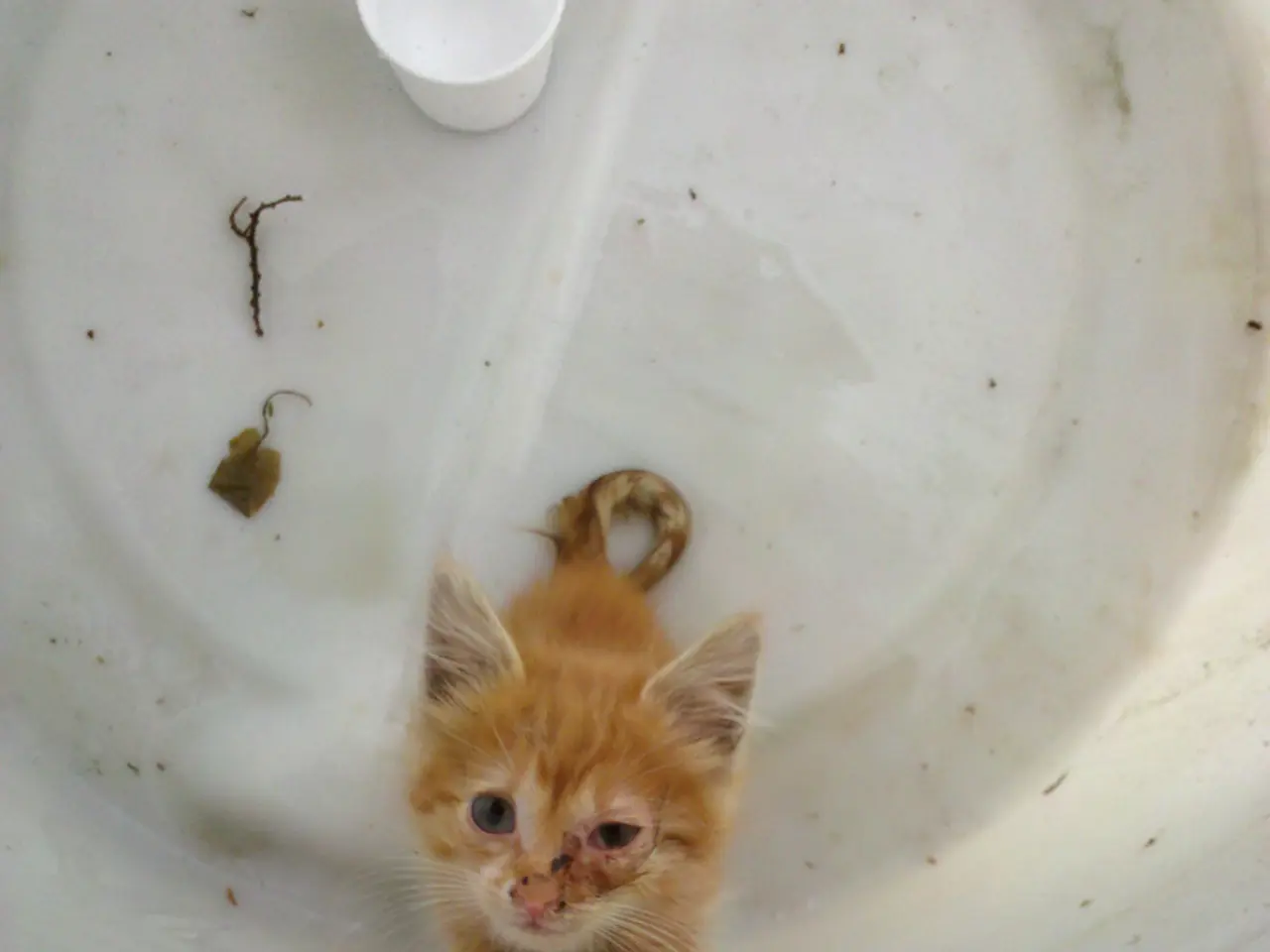 Fundamentals of Heating Systems: Crucial Insights for Novices in the Industry