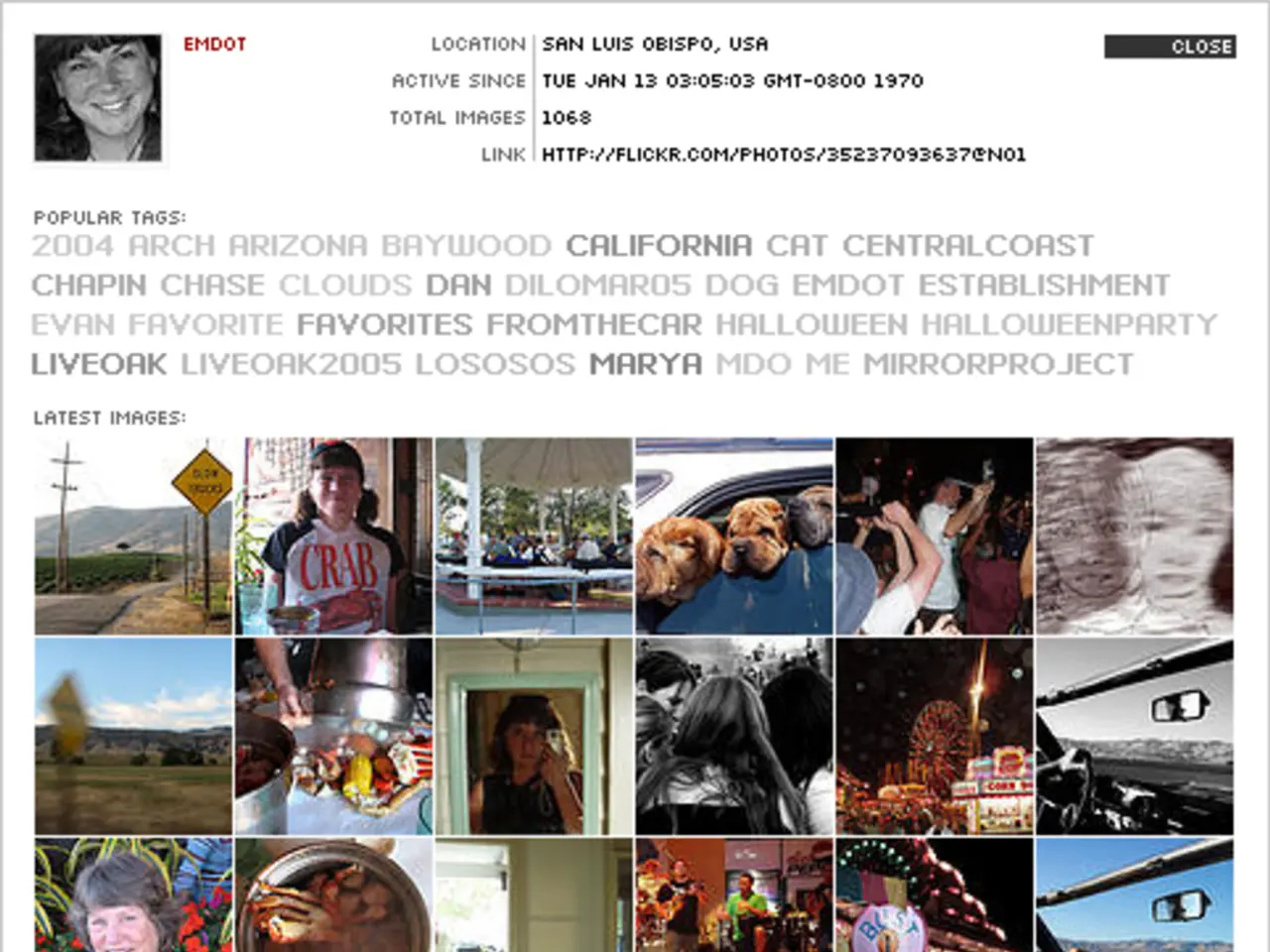 Nine Varieties of Graphical Representations Explained