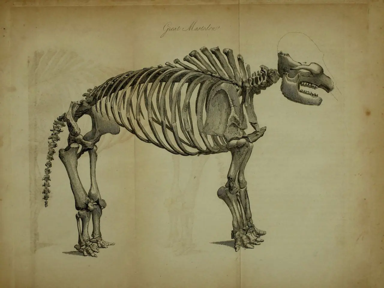 Available online for complimentary download: ICSE Class 9 Biology Intermediate Year Exam Sample...