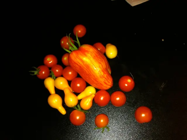 Top 10 Fruits Perfect for Picky Toddlers Negative About Consuming Vegetables