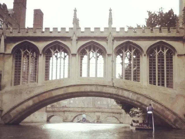 Anticipated Outcomes of an RN to MSN Transition Course