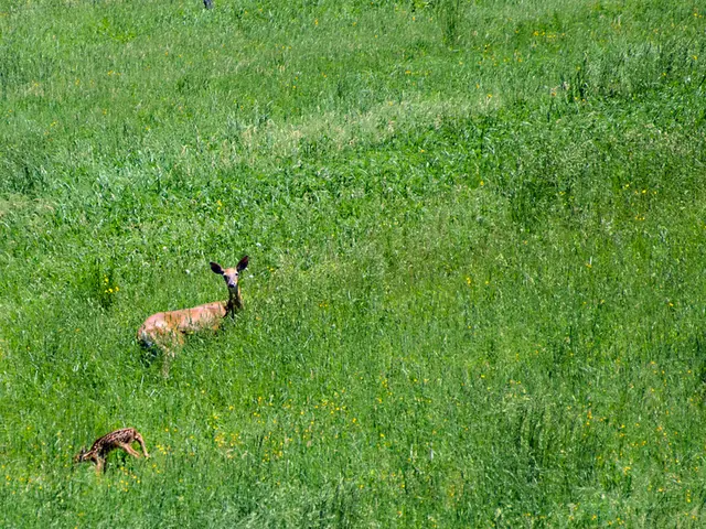Global Day Honoring Biodiversity: Simple Steps Toward Safeguarding the Environment