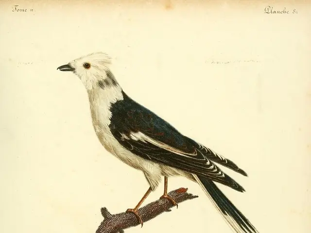 **Motivational Expressions Concerning Successful Leadership:**