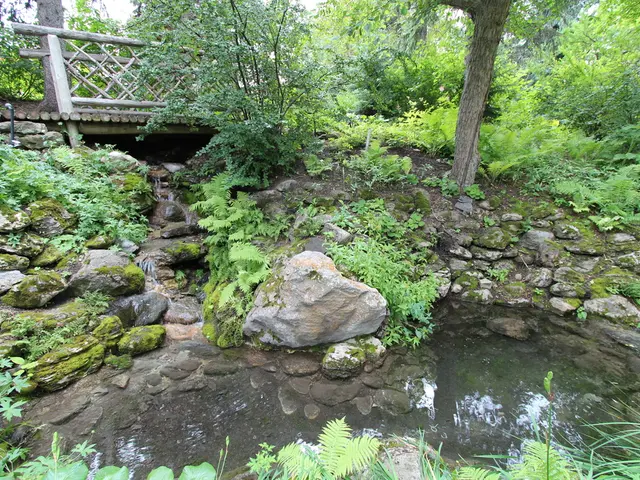 Transformation of Gritty Cityscape to Lush Urban Haven: The Daring Reinvention of Lake Texcoco