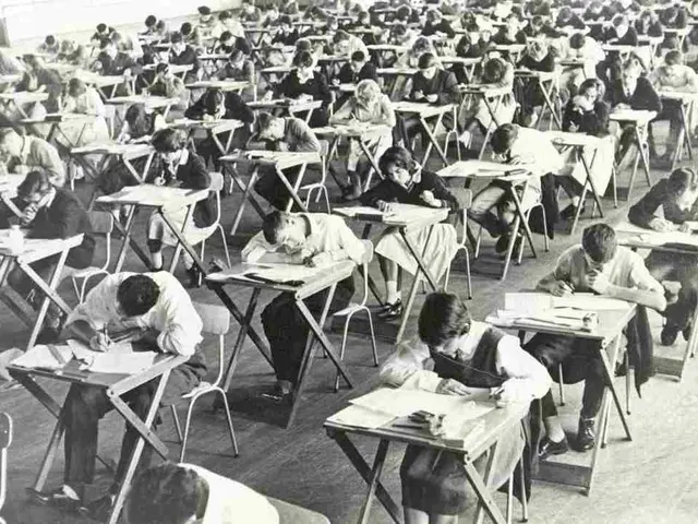 Explore the Top Certification Programs for Executive Functioning Coaches: Top 5 Options