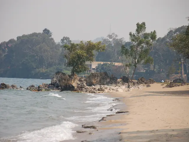 Highlighting the Scripps College notably: Daniela Faggiani Dias, a standout student, profiled for...