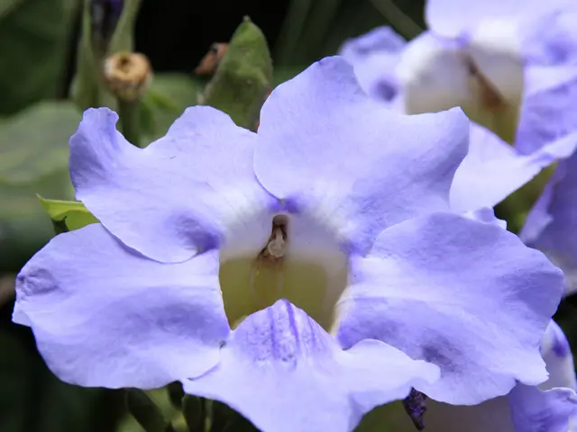 Daily Rituals of Accomplished Individuals to Enhance Your Morning