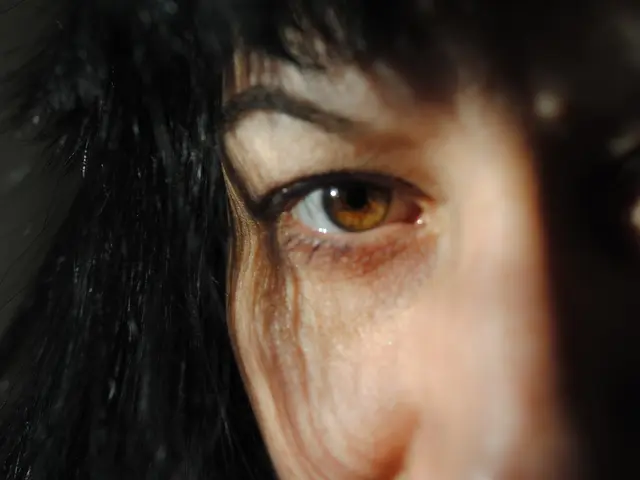 Intriguing Details Regarding the Anatomy of Your Nostrils