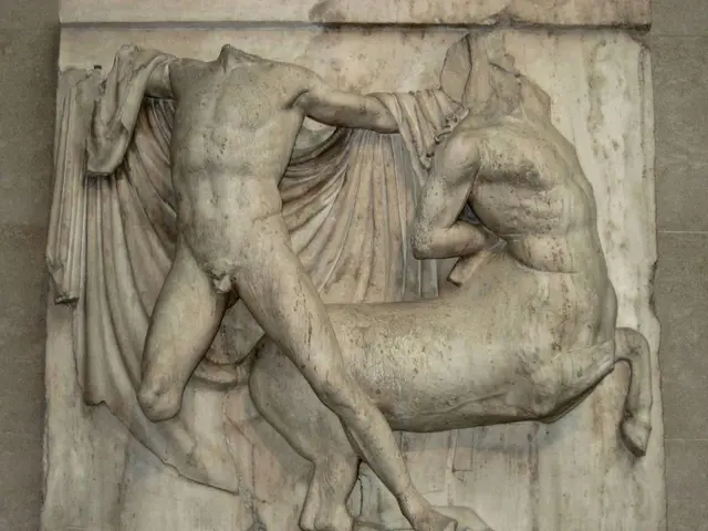 Investigative Body Uncovers Findings