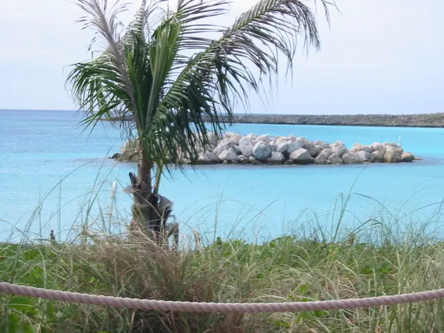 Capitalize on Philippine Investment: Promoters Endorse Cebu, Economic Reforms, and Growth