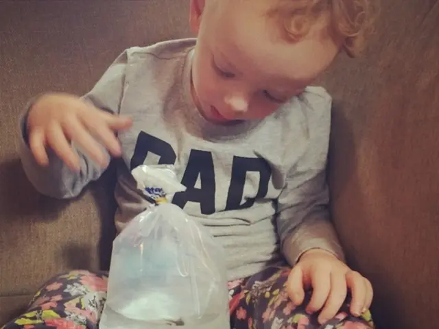 Fishermen's Inspection Scheduled for September 13 / Registrations Accepted Until August 8