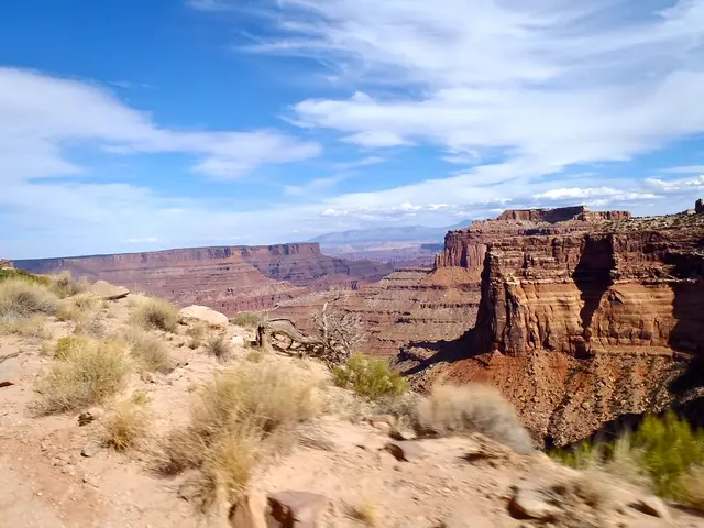 The controversy surrounding the summer break's timing?