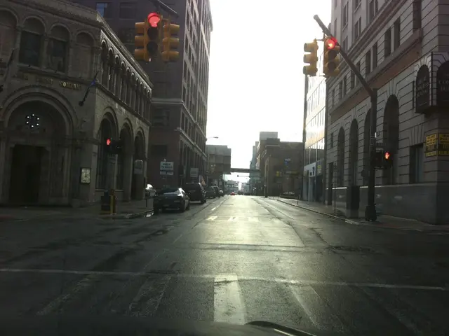 Enhanced Security Measures Implemented on Forest Pathways