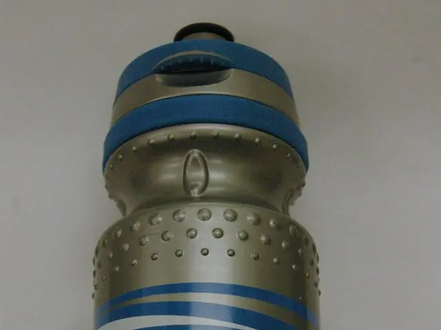 Neuroplasticity Boosted by Novelty: Everything You Need to Know About the Brain's Response to...