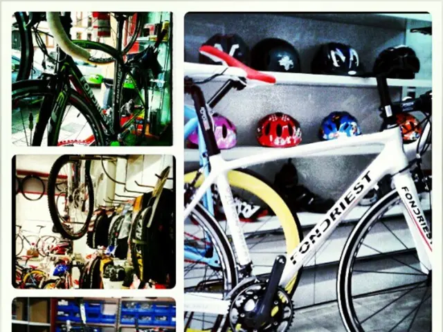 Mastering the Art of Cycling: A Guide to Bicycle Riding for Beginners