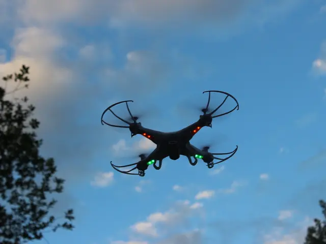 Thermal Drone Examinations: What They Unveil