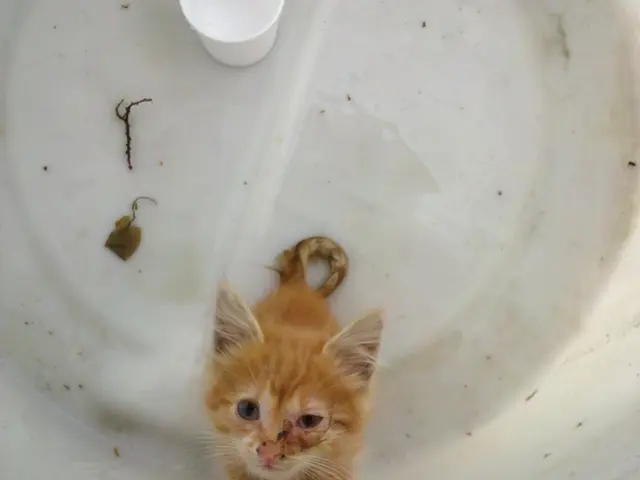 Fundamentals of Heating Systems: Crucial Insights for Novices in the Industry