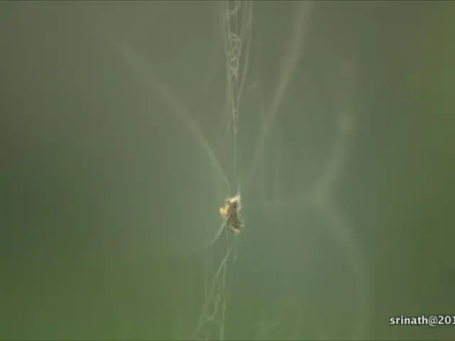 Crypto Community Braces for Legal Fray Over Tornado Cash Trial and Its Potential Implications