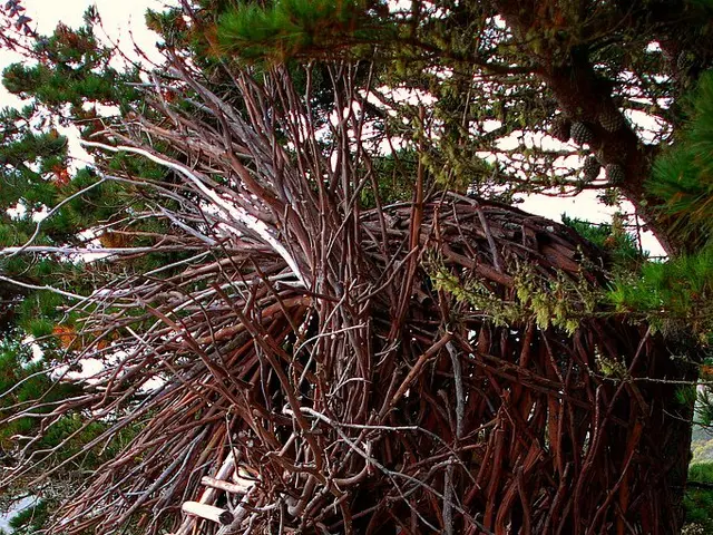 Guidance isn't a one-sided road.