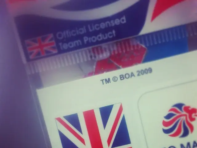 UK-India Free Trade Agreement favors pharmaceutical patent owners, according to experts' opinions.