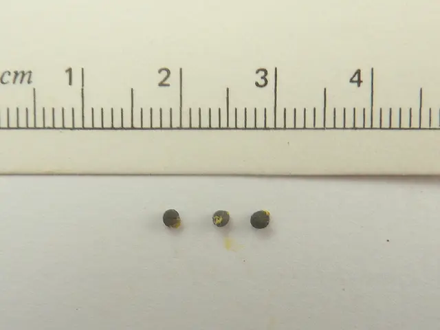 Parallelogram Height: Formula Explained and Example Solutions