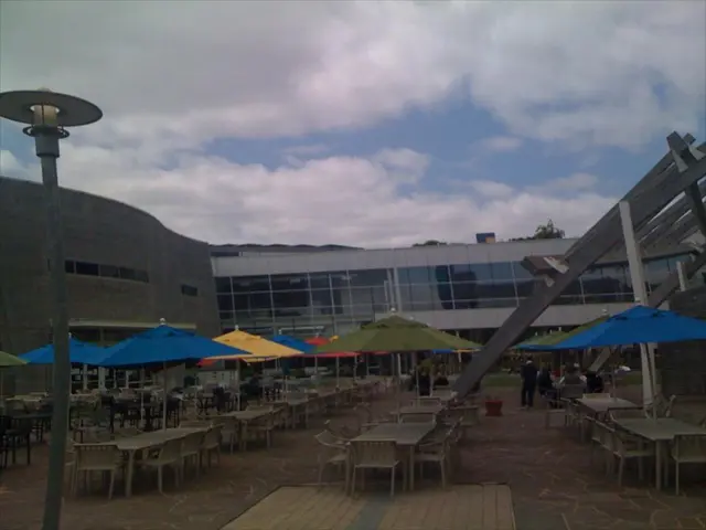 Enhance Your Post-Vacation Productivity: Tips to Amplify Your Efficiency