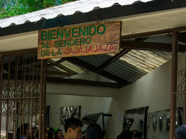 Appointment of the Consultative Group