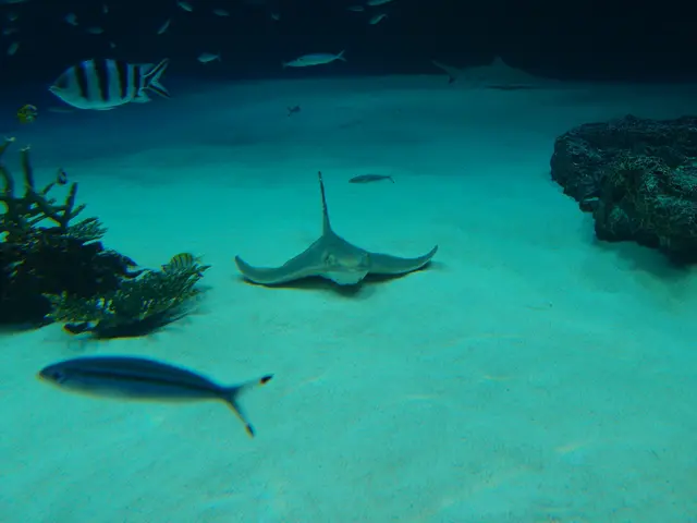 Town of Mafar-Sulu agrees on aquaculture forestry contract