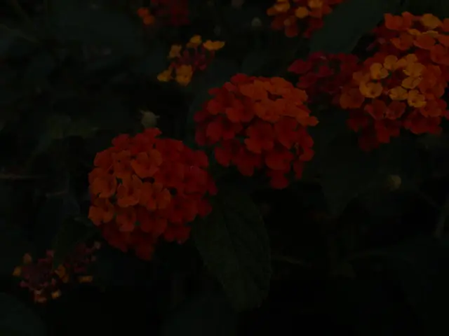 Unveiling The Secrets: Decoding the Symbolism in Your Nightly Visions