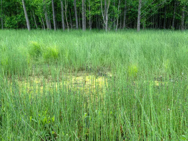Monitoring Systems for Sustainable Agricultural Practices in Permaculture