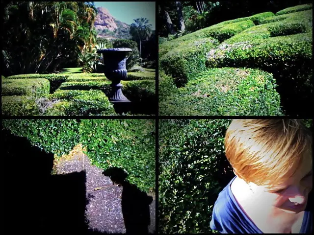 Celebrating Multiplicity at the Global Youth Convention