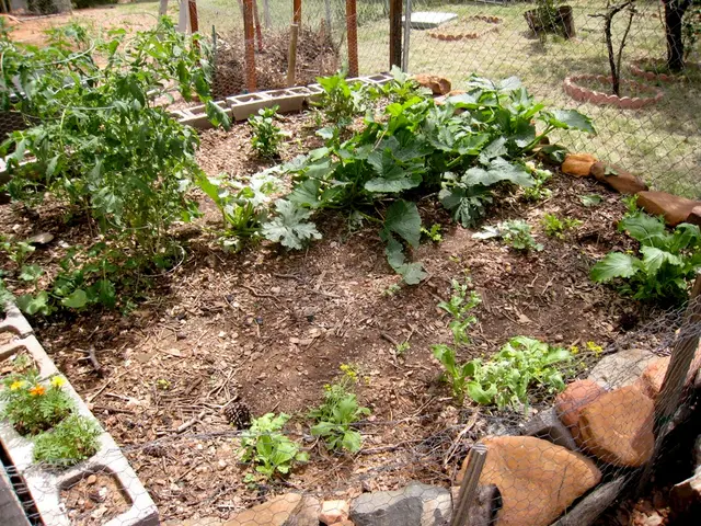 Cultivating Brains: Sowing Seeds of Inquisitiveness for Enduring Intellect