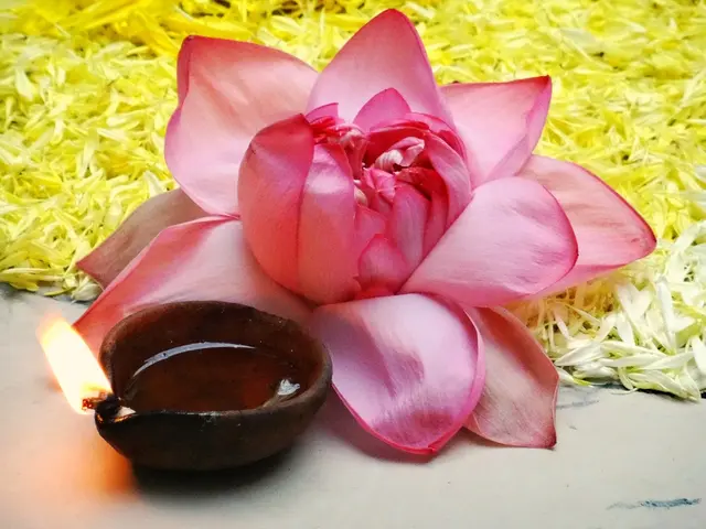 Identifying as an Indigo Child Based on 8 Statements: Affirmative Responses Signify a Possible...