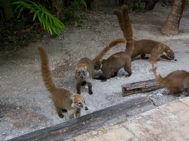 Interns at Defenders, Expressing Their Optimism Regarding the Organization's Future