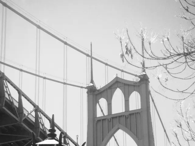 Soaring SoFi Shares Today Explained