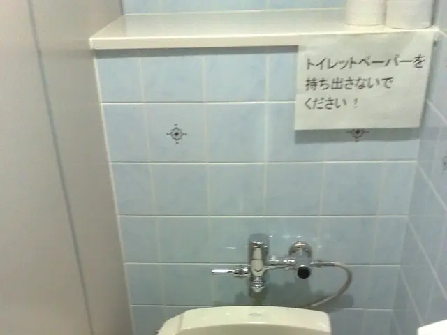 Schools in Tomsk will not undergo repairs during September 1st.