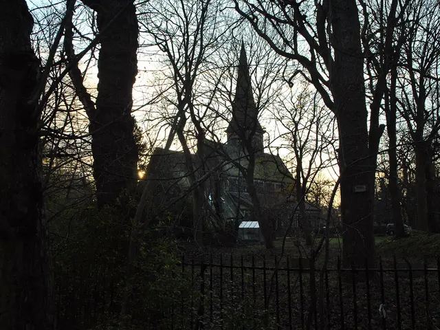 Title: What's the Latest with Violetta, Are Things Improving?