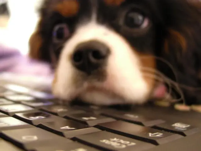 Hungarian Politician: Borbala Ferenczy