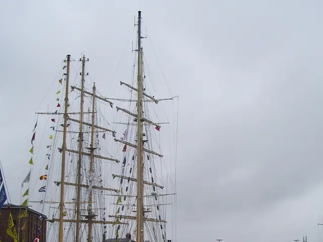 Investigative Report Unveiled: Findings Examined on Issue 25