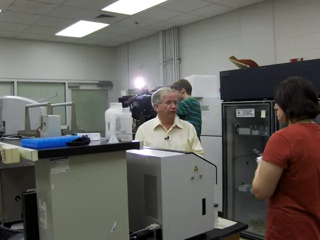 Top-Ranking Complimentary Video Editing Tools: Insight for 2025