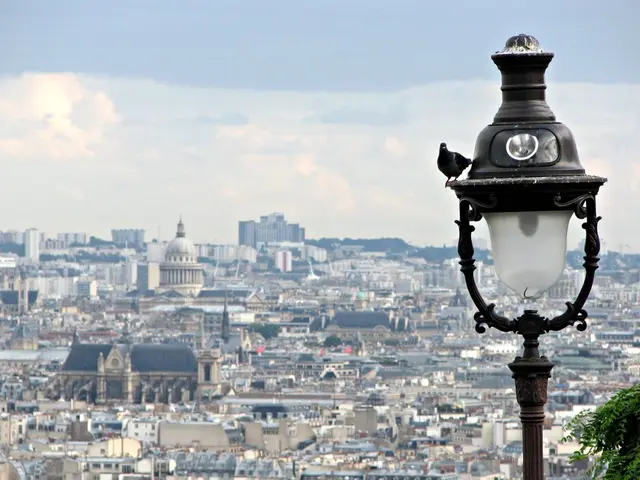 Pessimists Defer from Optimists in Outlook; Each Optimist Shares Similar Views