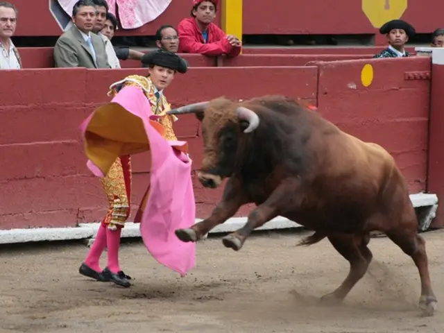 Understanding Aggressive Behavior: Essence of Bullying Explored