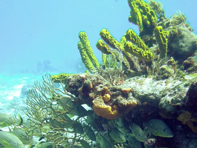 Expanding Hydrographic Surveys in Mauritius