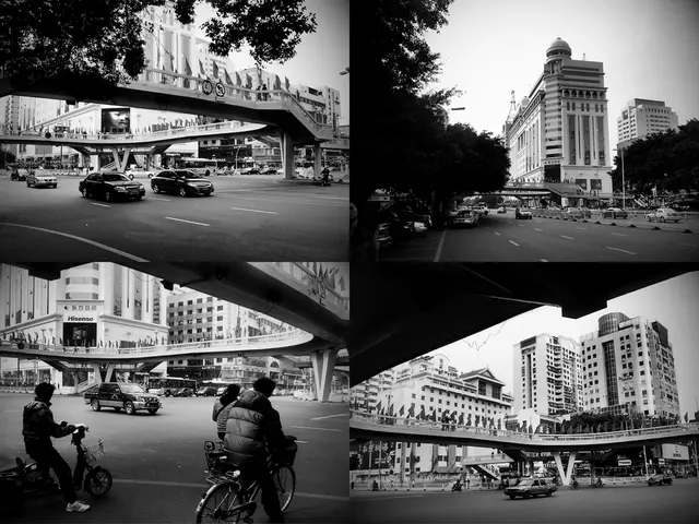 Identified Beliefs Among the Middle Class Regarding Pseudo-Assets That Hold little Value