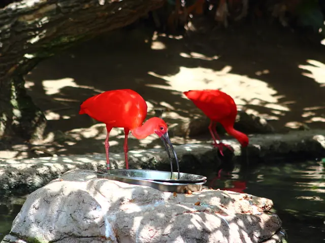 Is it Acceptable to Take a Day Off from School due to Mental Health Reasons?