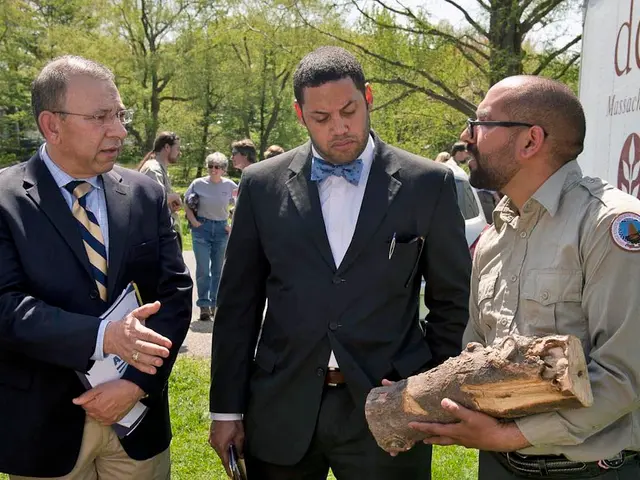 Grasping Logarithmic Equations in Base Two Context