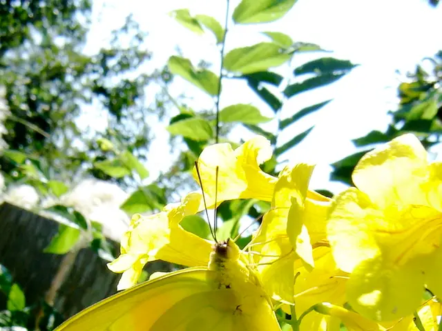 Influence of Personal Perspective