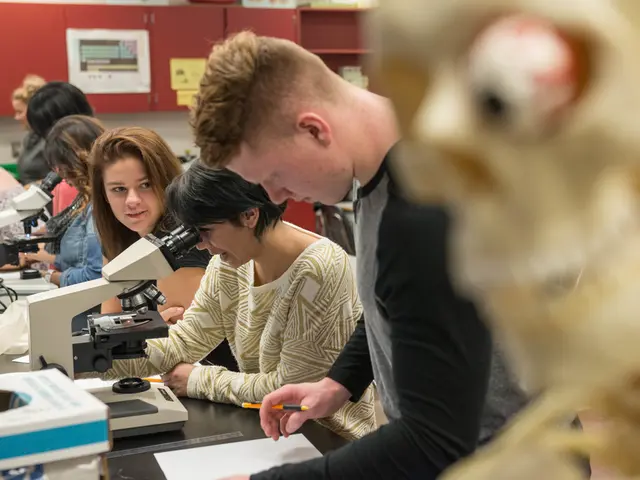 Disorganized Individuals' Actions when Fed Up with Their Own Disarray and Confusion