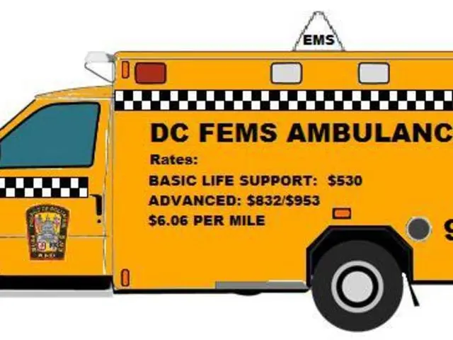 Emergency workers receive due regard and respect from allies in crisis situations