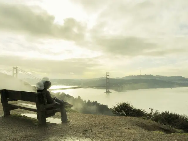 Employing Nature Meditation as a Reflective Instrument for Unveiling Inner Insights